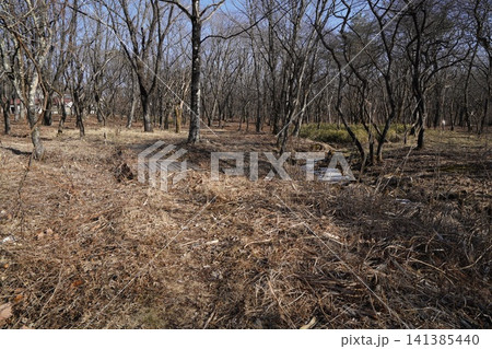 群馬県 榛名湖に注ぐ唯一の川 富士川の上中流域 2026年1月18日 群馬県 榛名湖に注ぐ唯一の川 富士川の上中流域 2026年1月18日 141385440