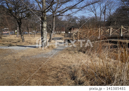 群馬県 榛名湖に注ぐ唯一の川 富士川の下流域 河口付近 2026年1月18日 群馬県 榛名湖に注ぐ唯一の川 富士川の下流域 河口付近 2026年1月18日 141385481