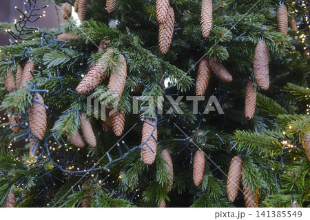 Holiday pine cones and lights decorating an outdoor evergreen Holiday pine cones and lights decorating an outdoor evergreen 141385549