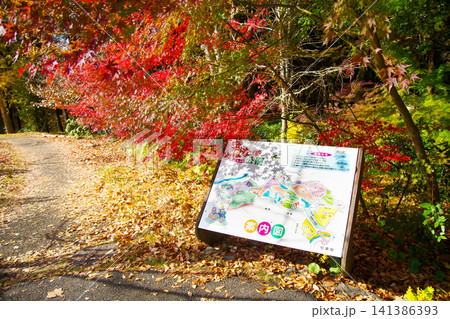 福岡県直方市の福智山ろく花公園秋の散策ロ 福岡県直方市の福智山ろく花公園秋の散策ロ 141386393