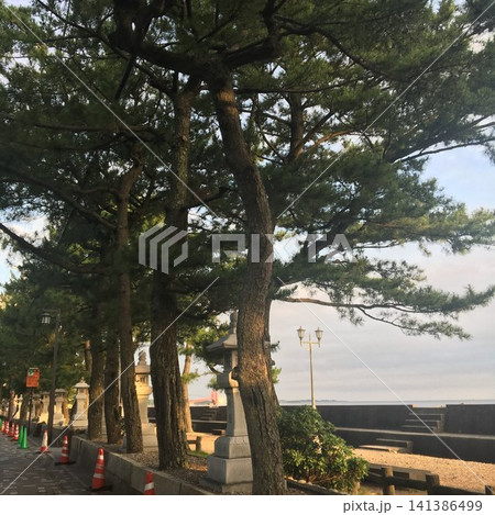 海岸沿いの松並木と石灯籠が続く伝統的な遊歩道 海岸沿いの松並木と石灯籠が続く伝統的な遊歩道 141386499
