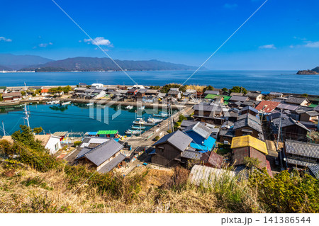 【重要伝統的建造物群保存地区】出羽島　展望デッキから見た早春の集落3　徳島県海部郡牟岐町 141386544