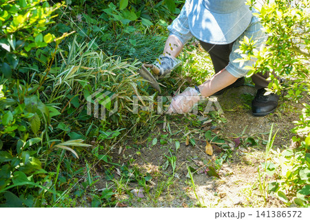 雑草はびこる庭の草取り作業する女性 雑草はびこる庭の草取り作業する女性 141386572