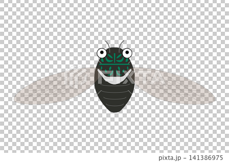 羽を広げたミンミンゼミのイラスト 141386975