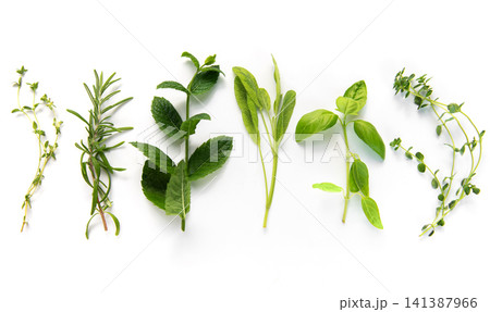Fresh culinary herbs creating healthy cooking concept Fresh culinary herbs creating healthy cooking concept 141387966