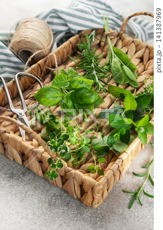 Fresh herbs collected in wicker basket with gardening supplies Fresh herbs collected in wicker basket with gardening supplies 141387969
