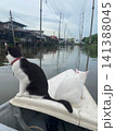 Boatの上のねこ 141388045