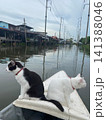 白黒猫 on the boat 141388046
