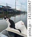 猫と一緒にボートで観光 141388047