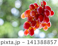 Fresh grapes in focus with blurred background highlighting natural texture color and healthy appeal. 141388857