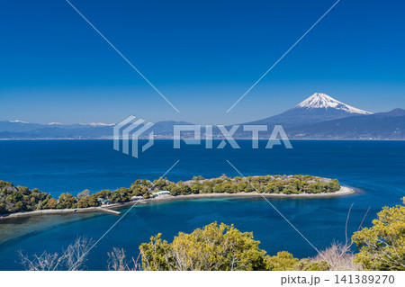 富士山と大瀬崎の風景（静岡県沼津市） 141389270