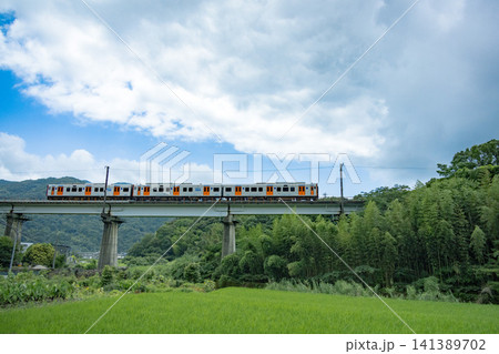 長崎本線諫早鉄橋渡るローカル線 141389702