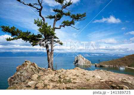 Coniferous tree on a cliff overlooking Lake Baikal, Olkhon Island in Siberia. Summer landscape with blue water, sky and mountains 141389725