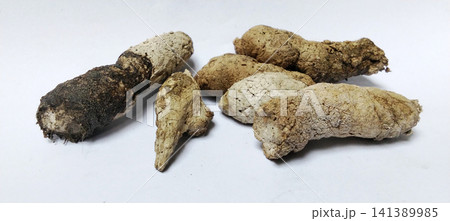 A sample of animal droppings, appearing dry and chalky in texture, isolated against a white background. A sample of animal droppings, appearing dry and chalky in texture, isolated against a white background. 141389985