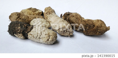Dry, chalky-texture animal droppings are displayed separately against a white background. 141390015