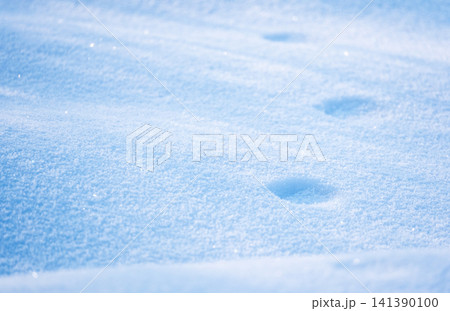 デコボコとした雪模様 蒜山高原 デコボコとした雪模様 蒜山高原 141390100