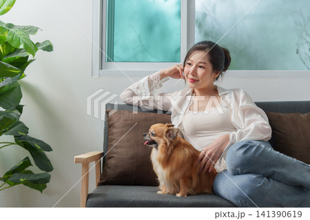 Asian woman relaxing on sofa with chihuahua dog for pet companionship Asian woman relaxing on sofa with chihuahua dog for pet companionship 141390619