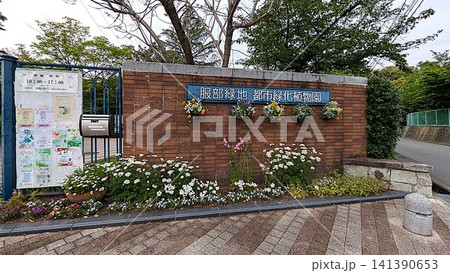 大阪の服部緑地の都市緑化植物園 大阪の服部緑地の都市緑化植物園 141390653