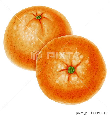 Composition of fresh mandarins. Hand drawn watercolor painting of a tangerine with green leaves. Citrus illustrations for New Year designs, packaging, menus, branding, and food product design Composition of fresh mandarins. Hand drawn watercolor painting of a tangerine with green leaves. Citrus illustrations for New Year designs, packaging, menus, branding, and food product design 141390819