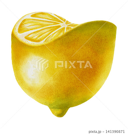 Watercolor illustration of a yellow lemon. Hand-drawn citrus fruit, segments, slices, and halves for organic food packaging, healthy recipes, and kitchen decor. Watercolor illustration of a yellow lemon. Hand-drawn citrus fruit, segments, slices, and halves for organic food packaging, healthy recipes, and kitchen decor. 141390871