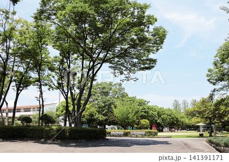 徳島城址・徳島中央公園 徳島城址・徳島中央公園 141391171
