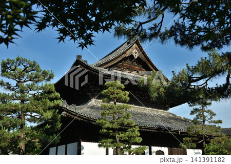 大本山建仁寺 緑に覆われる法堂(京都市東山区) 大本山建仁寺 緑に覆われる法堂(京都市東山区) 141391182