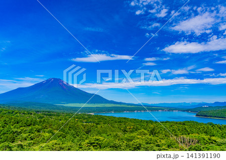【山梨県】山中湖明神山パノラマ台から富士山を望む 【山梨県】山中湖明神山パノラマ台から富士山を望む 141391190