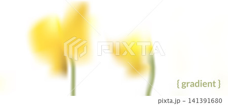Soft gradation of two unfocused yellow tulip flowers on blur white background. Gentle floral gradient with pastel light for a presentation cover. Dreamy ethereal vector backdrop in calm spring mood Soft gradation of two unfocused yellow tulip flowers on blur white background. Gentle floral gradient with pastel light for a presentation cover. Dreamy ethereal vector backdrop in calm spring mood 141391680