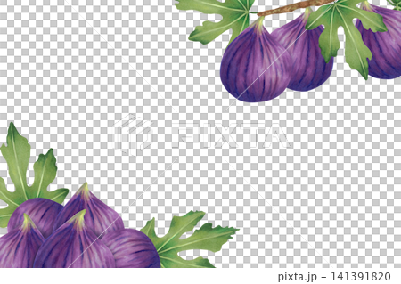 Horizontal frame with purple figs with leaves and whole fruits. Watercolor illustration. Hand-drawn isolated background. Template with text and berries for food packaging, juices and product labels. 141391820