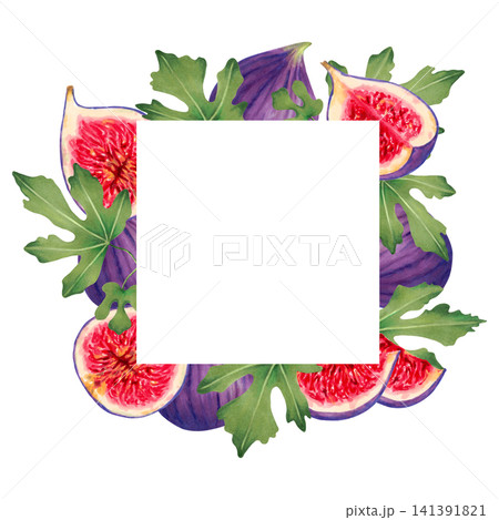 Square frame of figs with space for text. Botanical background of ripe purple fig, slices, and leaves. Fruity watercolor illustration. Suitable for cards and packaging. Hand drawn isolated art. 141391821