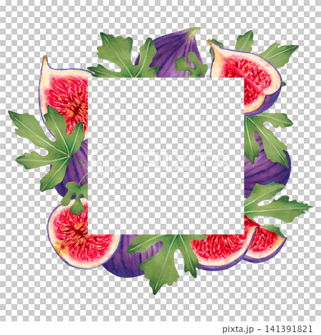 Square frame of figs with space for text. Botanical background of ripe purple fig, slices, and leaves. Fruity watercolor illustration. Suitable for cards and packaging. Hand drawn isolated art. 141391821