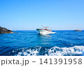 カプリの海岸沿い 141391958