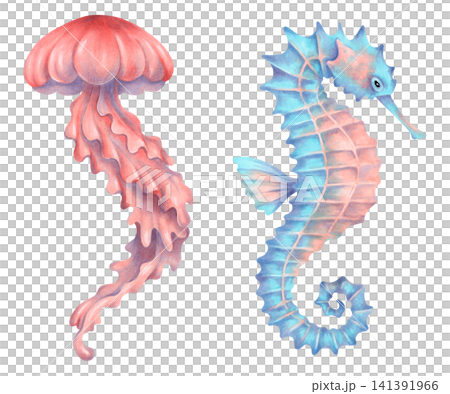 Clip art of an adorable jellyfish and seahorse for kids. Watercolor illustration of a sea animal. Hand drawn underwater cartoon animal for baby shower invitations. Art for decorating children room. Clip art of an adorable jellyfish and seahorse for kids. Watercolor illustration of a sea animal. Hand drawn underwater cartoon animal for baby shower invitations. Art for decorating children room. 141391966
