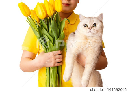 A boy holds a cute white cat and bouquet of yellow tulips, A boy holds a cute white cat and bouquet of yellow tulips, 141392043