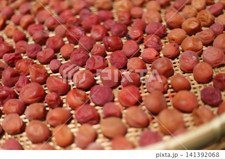 梅干しを干す様子 梅干しを干す様子 141392068