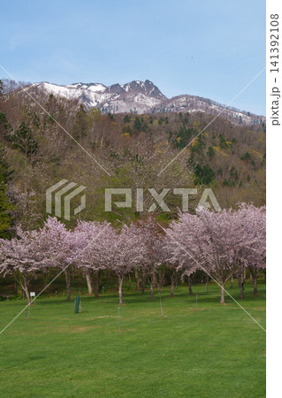 北海道富良野市山部 芦別岳と満開の桜 春の絶景観光素材 北海道富良野市山部 芦別岳と満開の桜 春の絶景観光素材 141392108