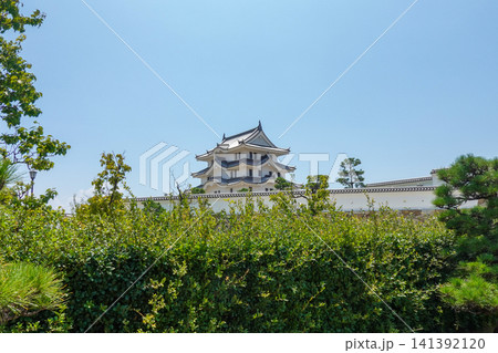 尼崎城（江戸幕府の譜代大名が大坂の西の守りとして築城）2026年7月撮影 141392120