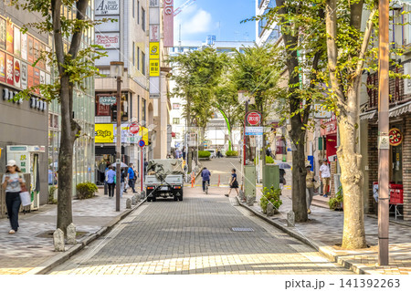 千葉県市川市の都市風景 アイアイロード市川の商店街 千葉県市川市の都市風景 アイアイロード市川の商店街 141392263