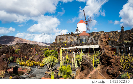 Jardin de Cactus designed by Cesar Manrique in Guatiza, Lanzarote. Traditional windmill rising above the famous Cactus Garden in Lanzarote. 141392289