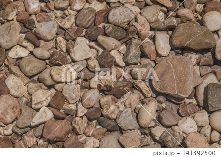 Top down detailed view of smooth round river stones and wet pebbles scattered on the creek bed showing natural earthy tones and textures in a bright day Top down detailed view of smooth round river stones and wet pebbles scattered on the creek bed showing natural earthy tones and textures in a bright day 141392500