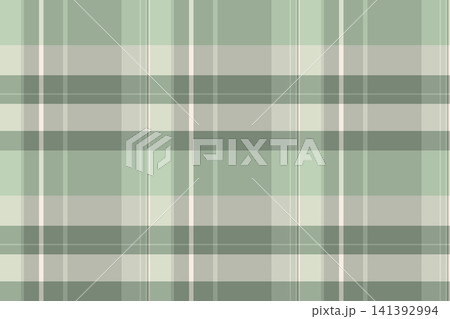 A refined tartan plaid repeat with interlaced check lines and a woven fabric surface. Gray tones bring classic fabric heritage to a seamless fabric design for interior decor. It suits textile prints. A refined tartan plaid repeat with interlaced check lines and a woven fabric surface. Gray tones bring classic fabric heritage to a seamless fabric design for interior decor. It suits textile prints. 141392994