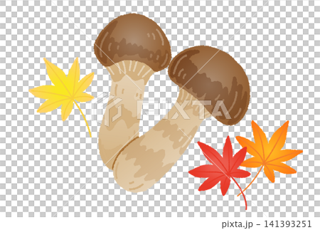 松茸ともみじのベクターイラスト 松茸ともみじのベクターイラスト 141393251