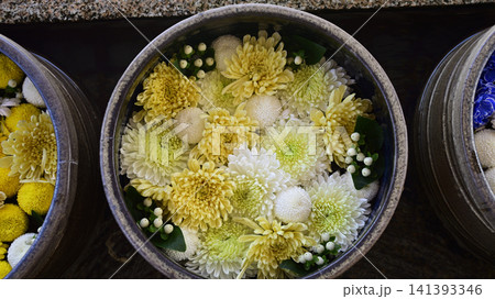 花手水 花手水 141393346