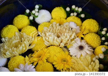 花手水 花手水 141393372