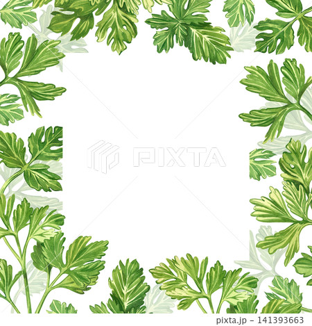 Watercolor frame with the image of leaves and twigs of parsley. A frame made of fresh green herbs for decorating culinary menus or recipe cards, postcards, and kitchen textiles. Watercolor frame with the image of leaves and twigs of parsley. A frame made of fresh green herbs for decorating culinary menus or recipe cards, postcards, and kitchen textiles. 141393663