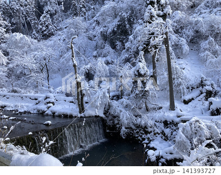 雪の森を流れる川の冬風景 雪の森を流れる川の冬風景 141393727