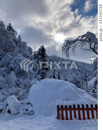 雪景色の森に立つ赤い柵と差し込む日光 雪景色の森に立つ赤い柵と差し込む日光 141393728