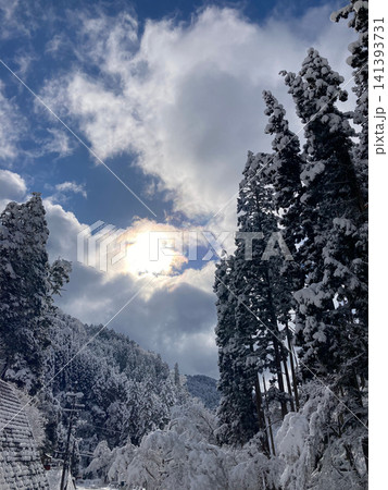 雪が積もった森と雲の隙間から差し込む太陽光 雪が積もった森と雲の隙間から差し込む太陽光 141393731