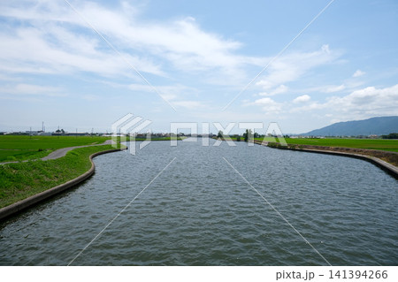 岐阜県海津市海津町萱野付近の大江川17_2025年7月 岐阜県海津市海津町萱野付近の大江川17_2025年7月 141394266