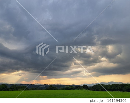 画面いっぱいに広がるダイナミックな暗雲と長野県の田んぼ 画面いっぱいに広がるダイナミックな暗雲と長野県の田んぼ 141394303